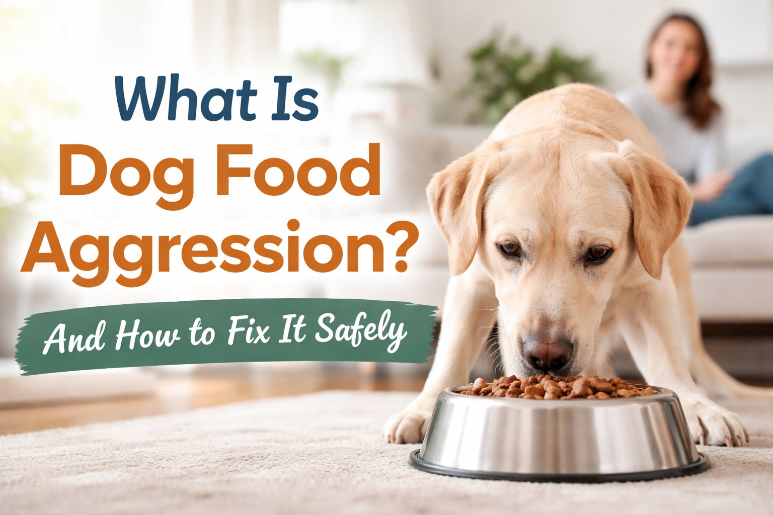 What Is Dog Food Aggression and How to Fix It Safely