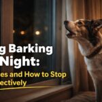Dog barking at night